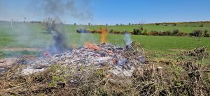 Ban on burning of agricultural waste