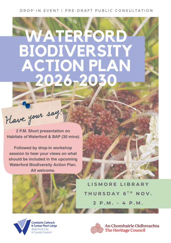 Waterford Biodiversity Action Plan 2026–2031